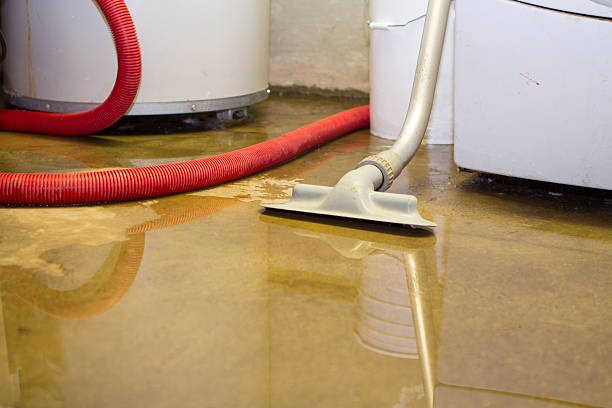 Best Flood damage cleanup  in Stony Point, MI