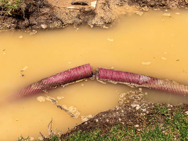 Best Commercial water damage restoration  in Stony Point, MI